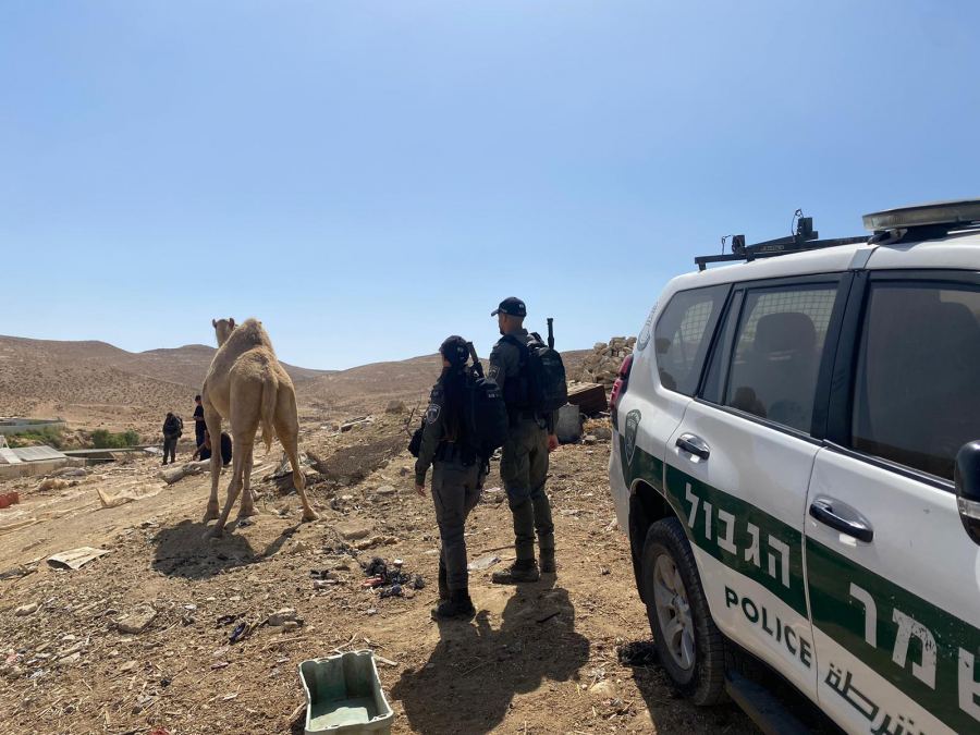 القبض على مشتبه بهم بالمشاركة وتنظيم سباق الابل في النقب